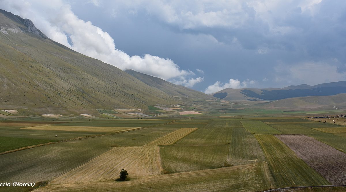 castelluccio dintorni