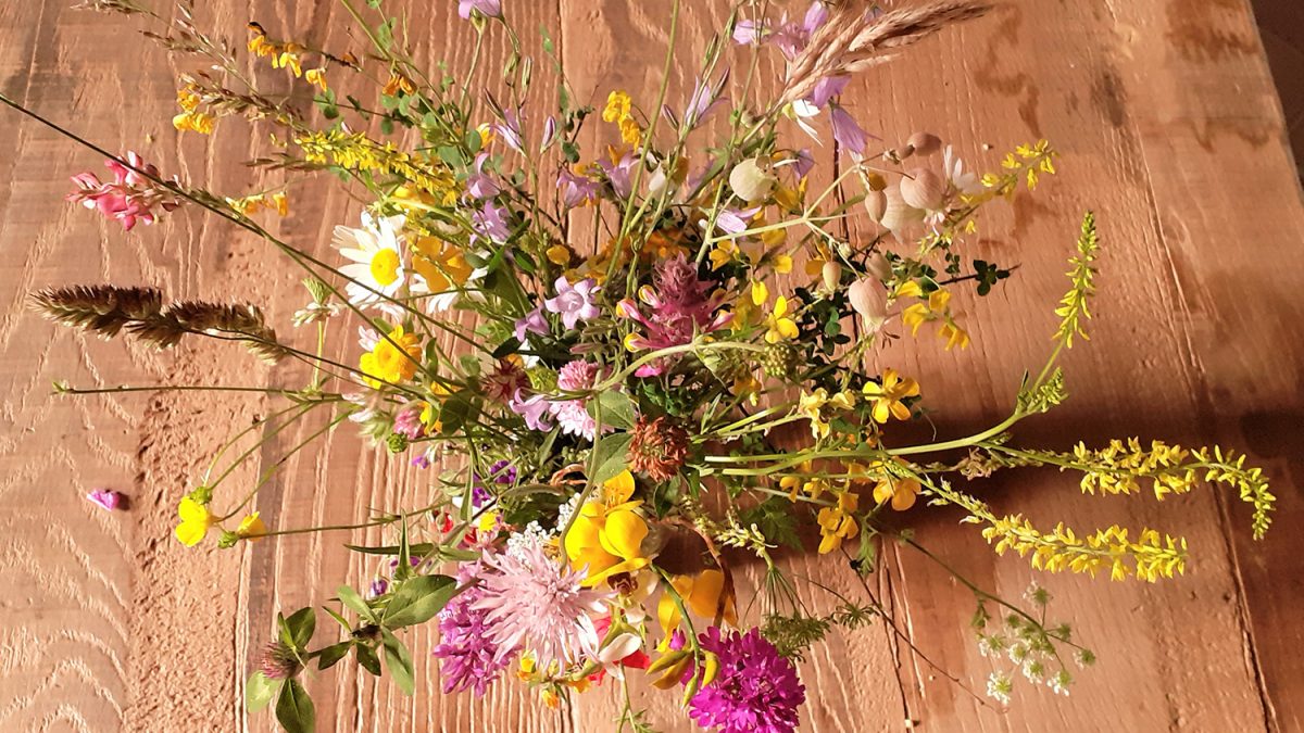natura fiori